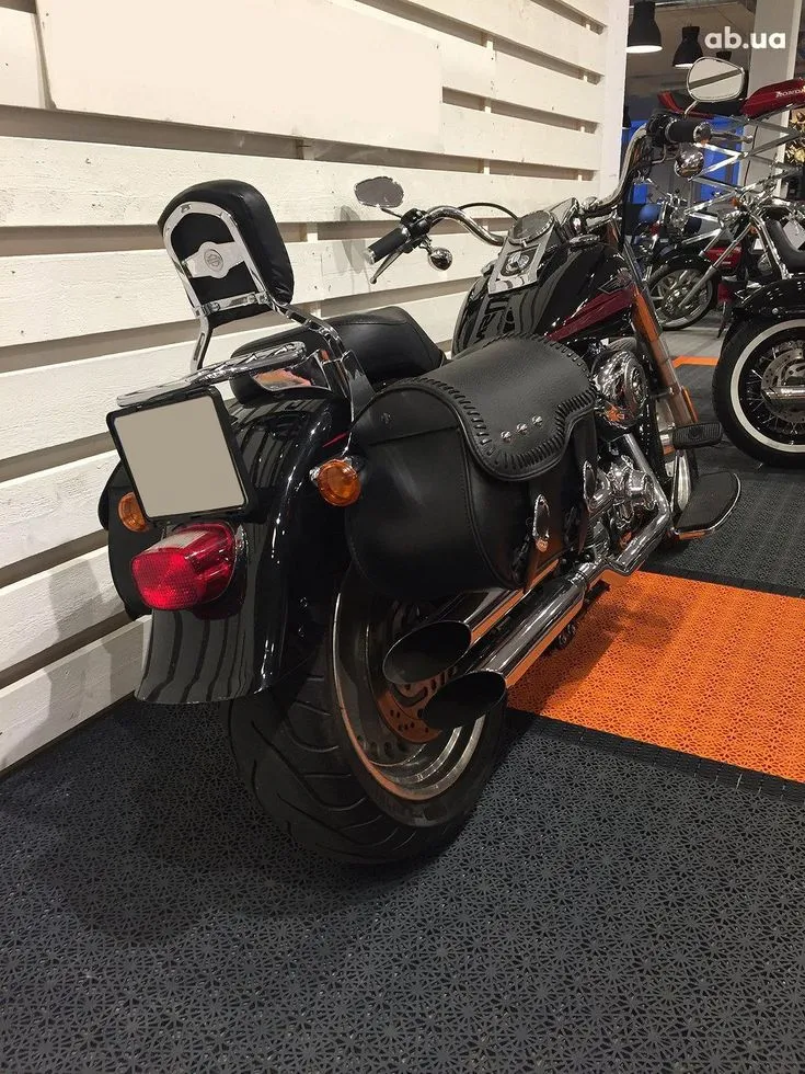 Harley-Davidson FLSTF  Image 4